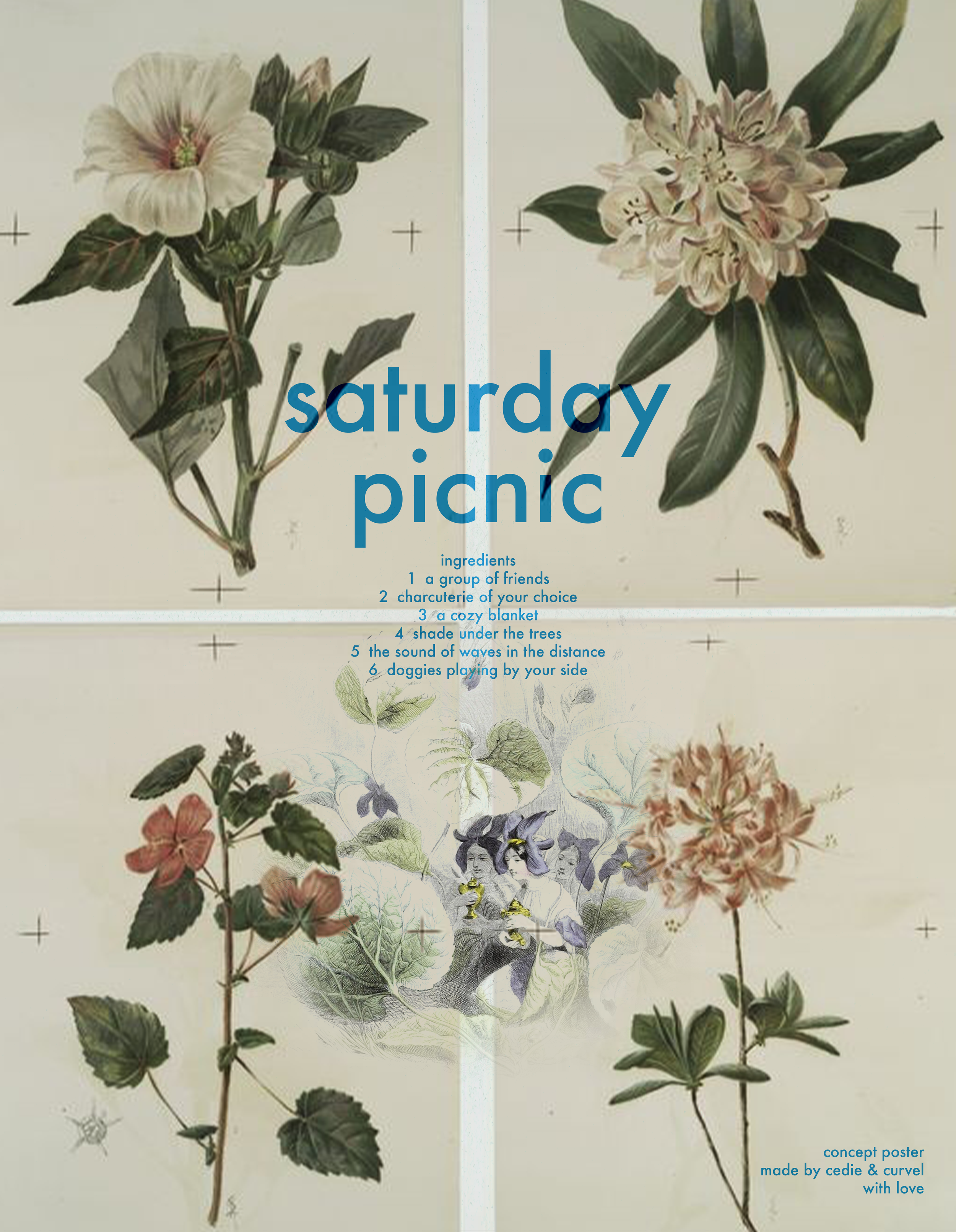 saturday picnic-alt.png