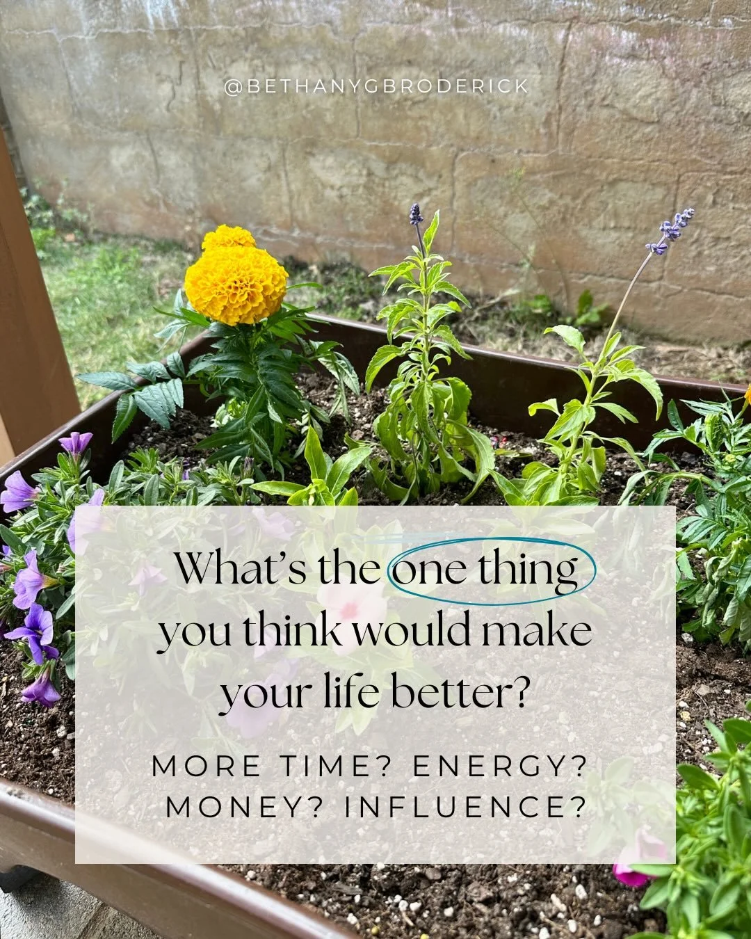 ✨ &ldquo;I have asked one thing from the Lord; it is what I desire&hellip;&rdquo; (Psalm 27:4)

If God said &ldquo;yes&rdquo; to one prayer today&mdash;what would you ask for?

I&rsquo;ve been sitting with that question as I memorize Psalm 27, and I 