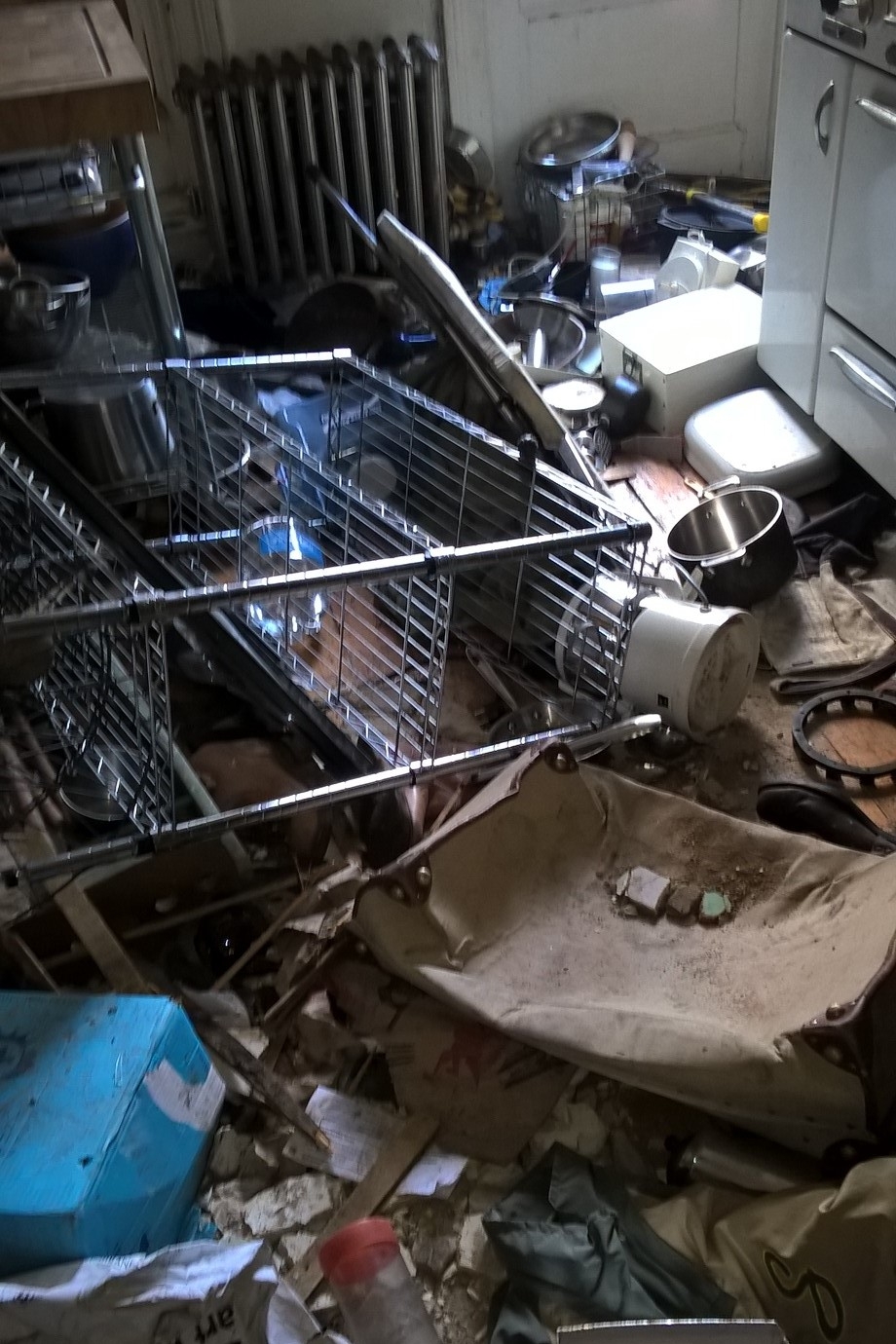 Rogers_Devastation_169x300_1.jpg