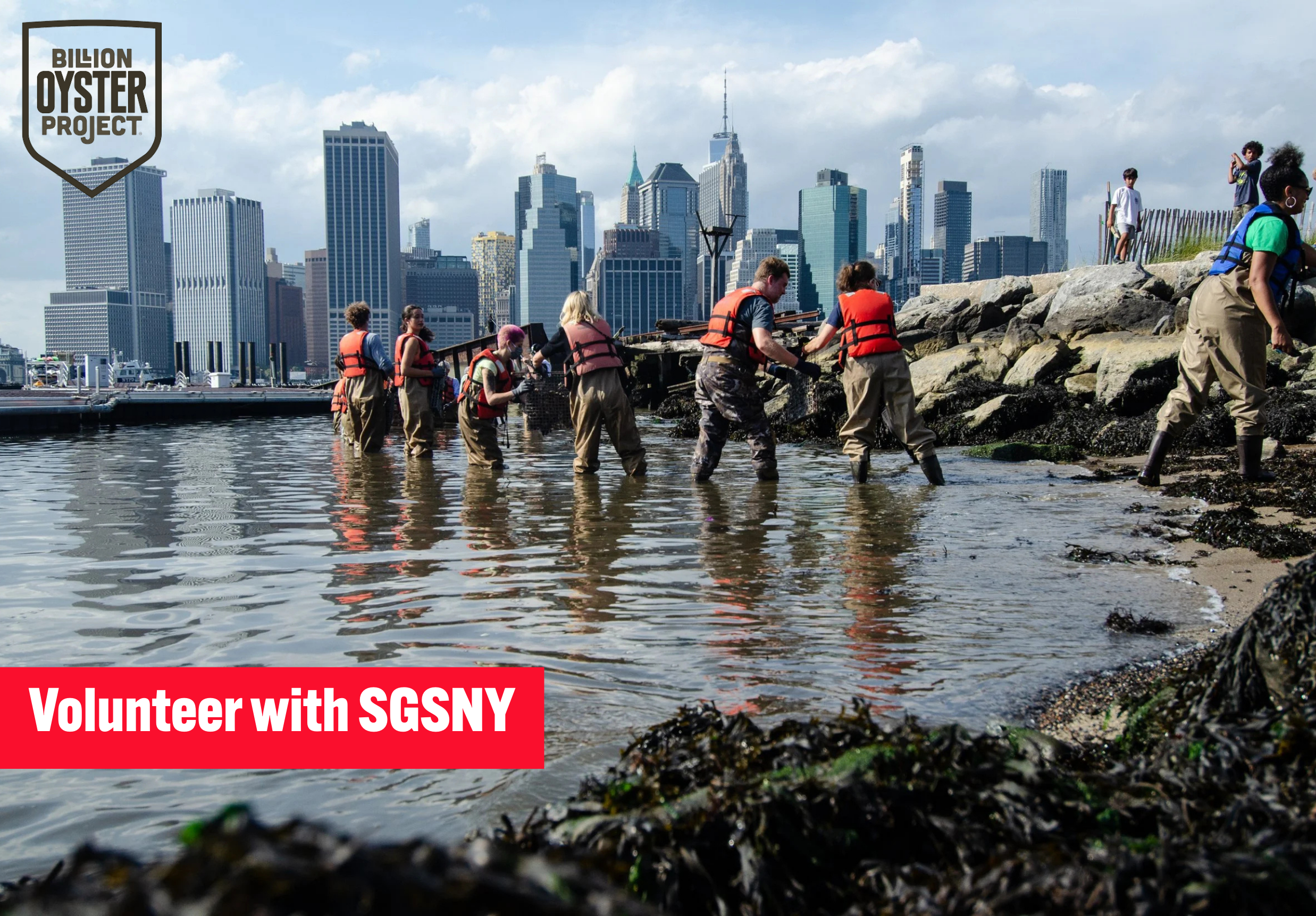 Volunteer with SGSNY at Billion Oyster Project