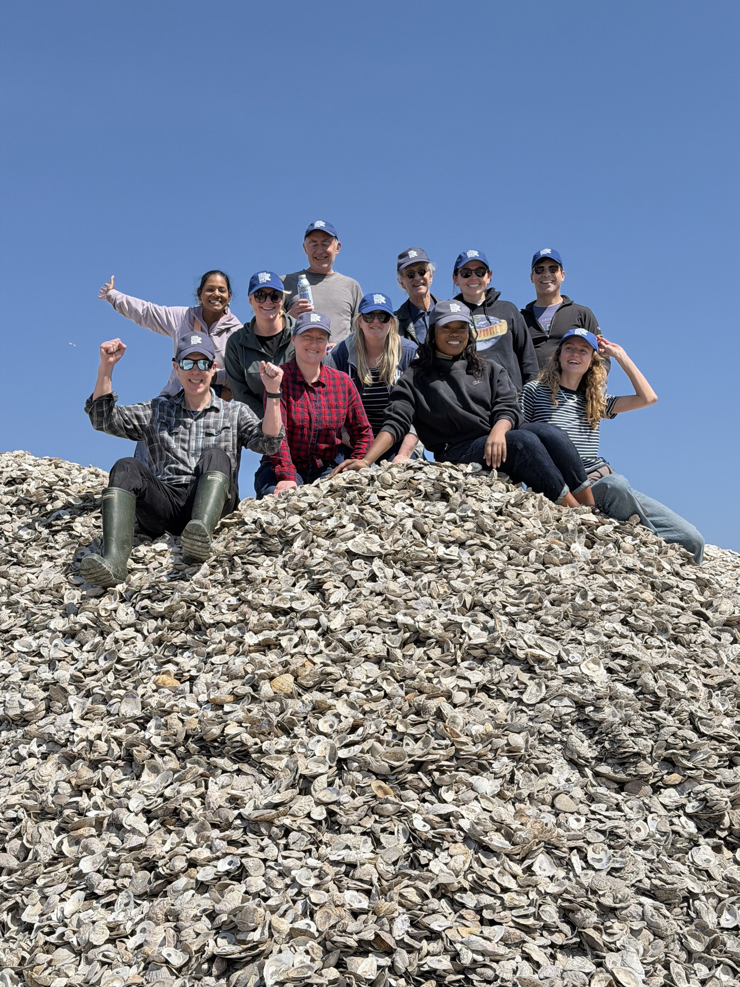SGSNY Members Helping to Bring Life Back to New York Harbor