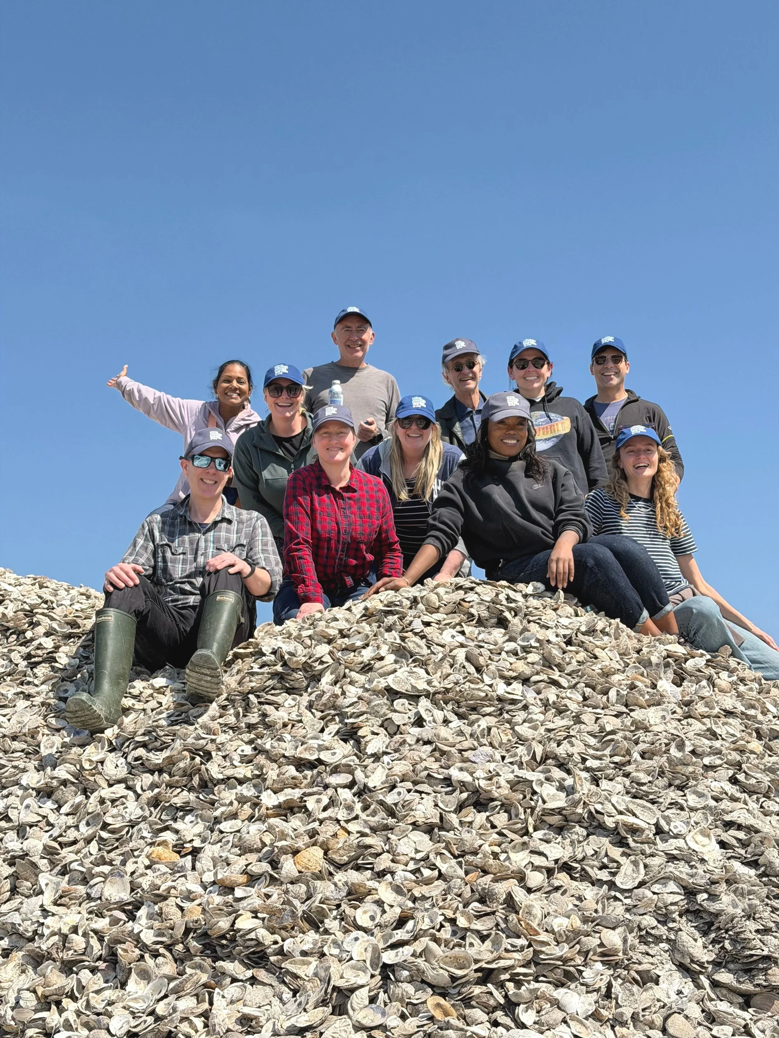 Billion Oyster Project Volunteering