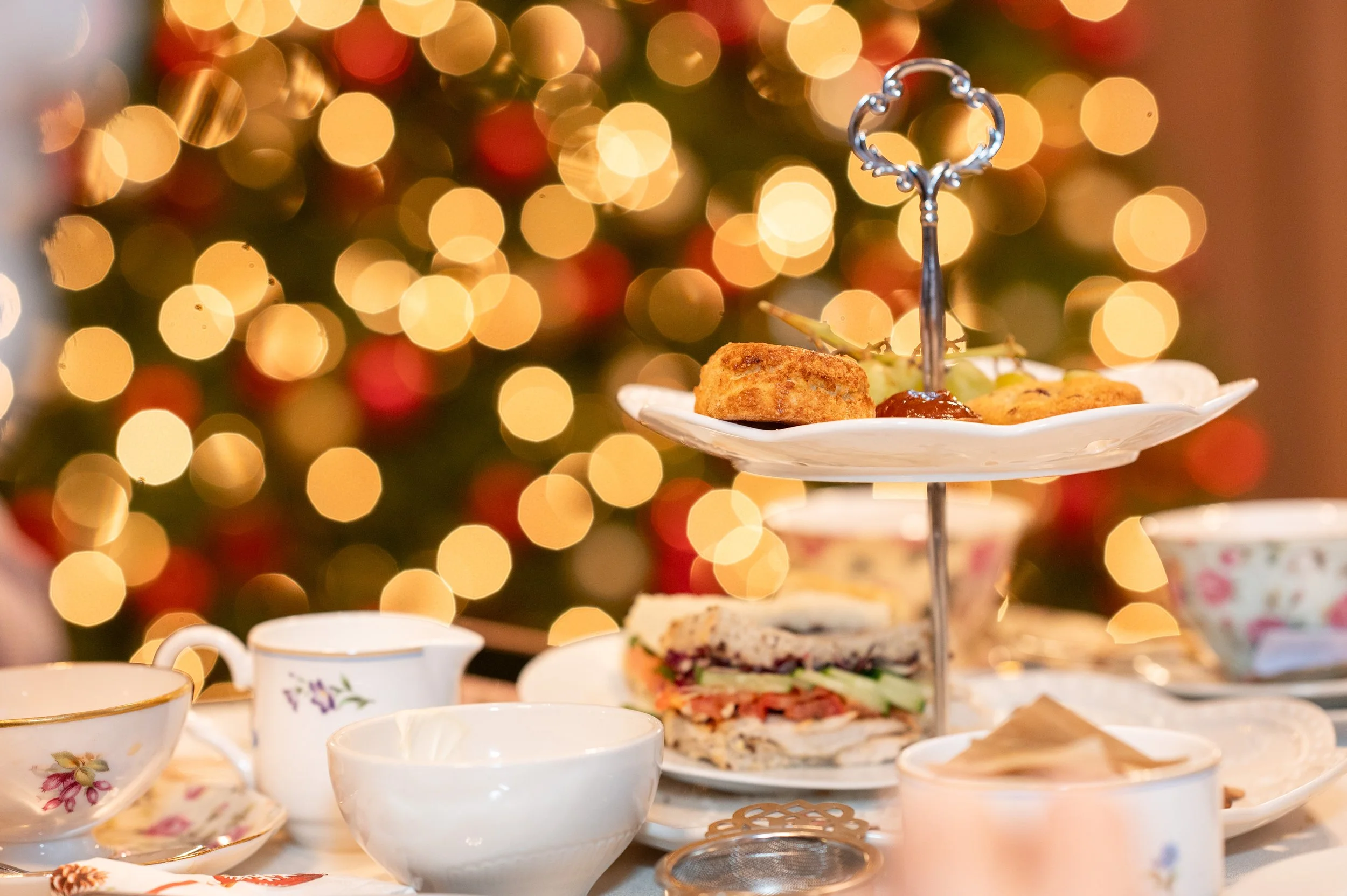 Copy of 20251206_152.jpg