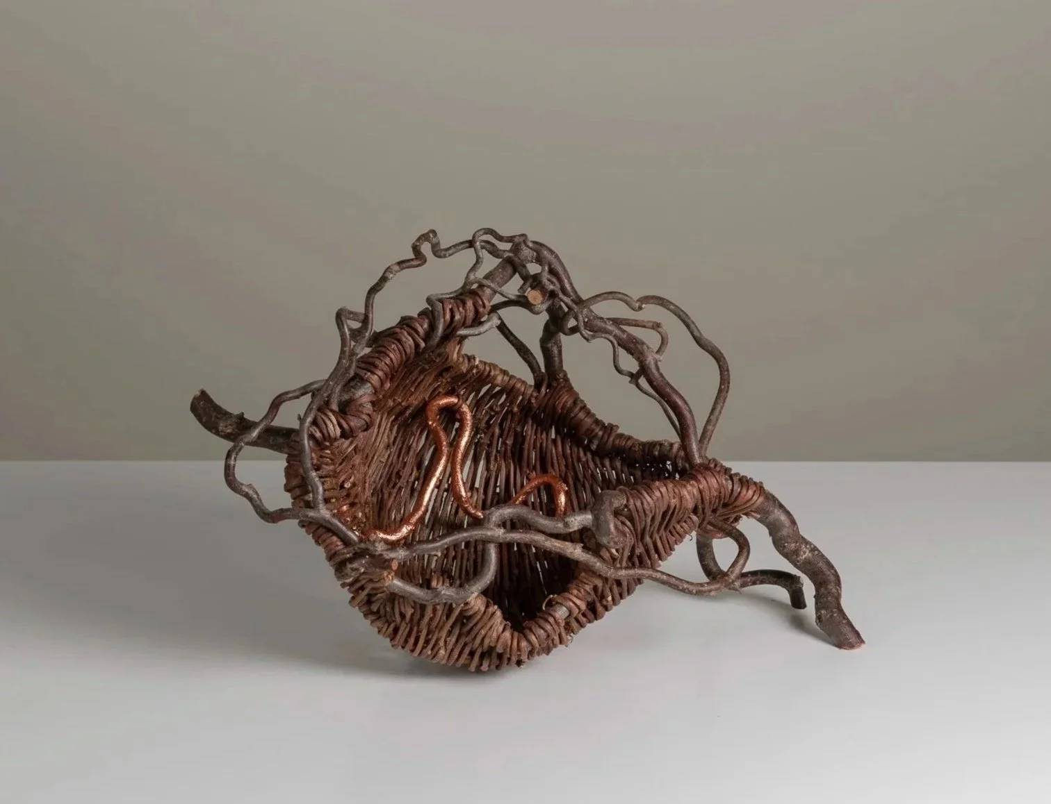 Copper Conch 2019 | 10 x 10 x 10 inches. Virgina Creeper, contorted hazel branches, copper gilt.