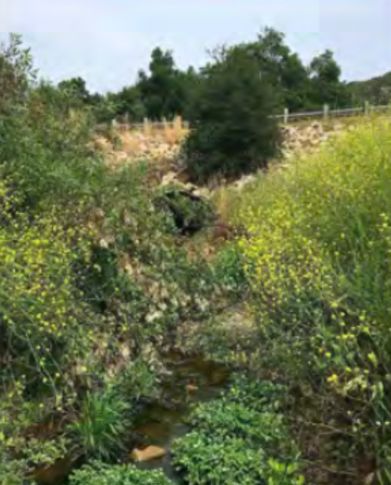 Screenshot 2024-12-10 at 12.30.41 PM.png