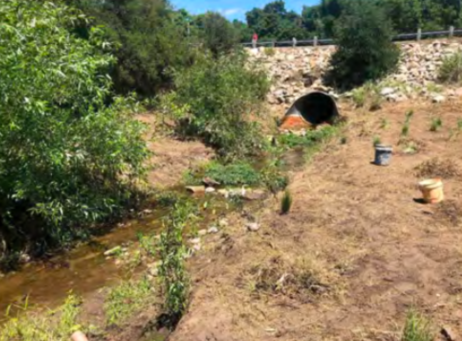 Screenshot 2024-12-10 at 12.30.35 PM.png