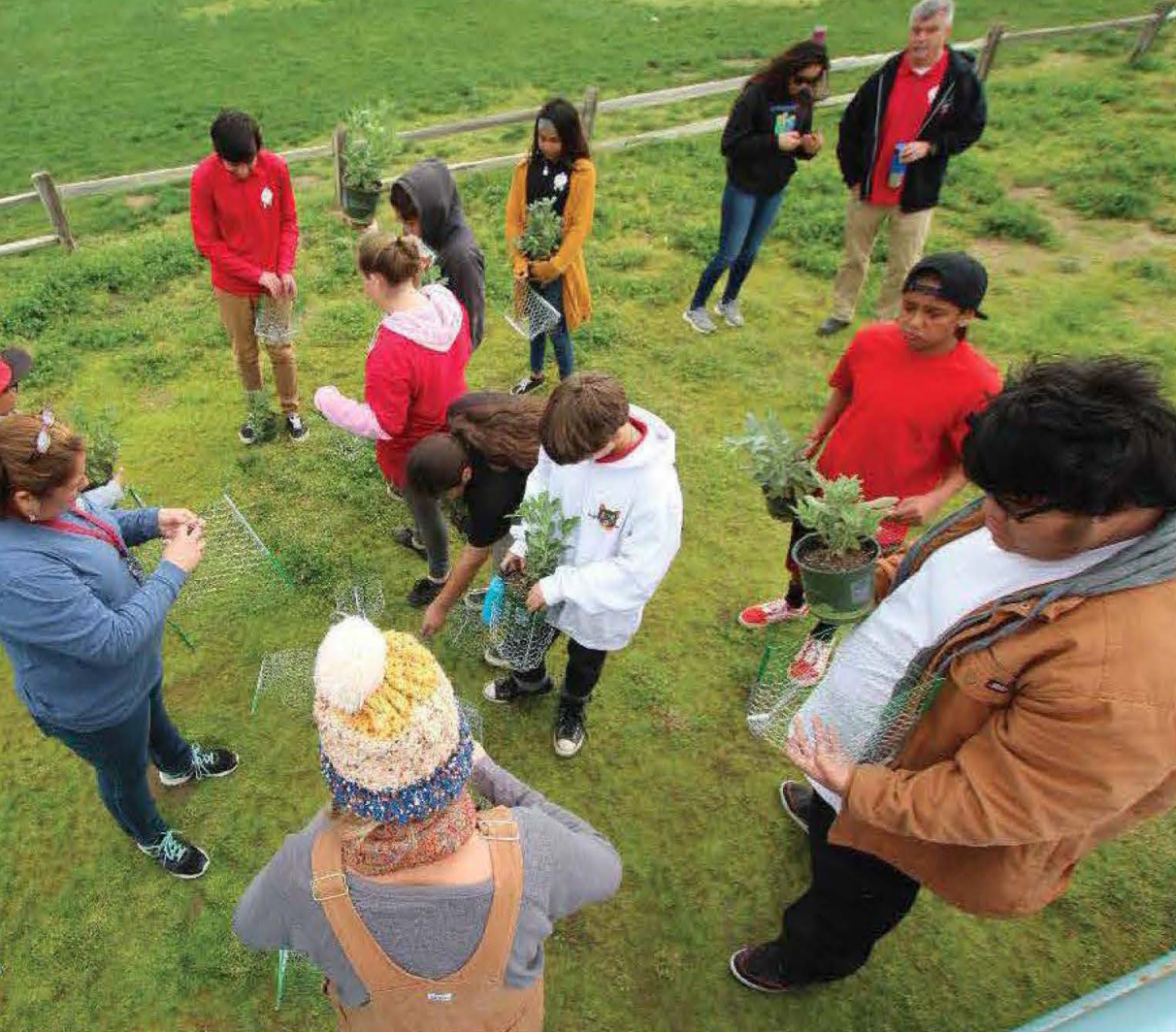 Screenshot 2024-12-10 at 12.25.27 PM.png