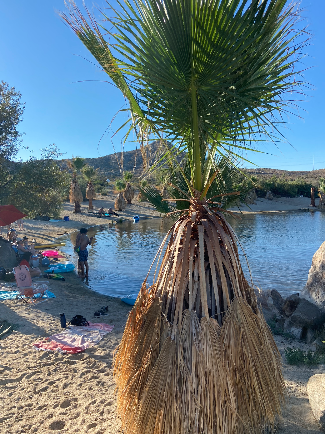 Screenshot 2024-12-10 at 1.27.26 PM.png