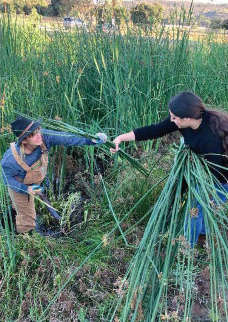 Screenshot 2024-12-10 at 12.25.15 PM.png