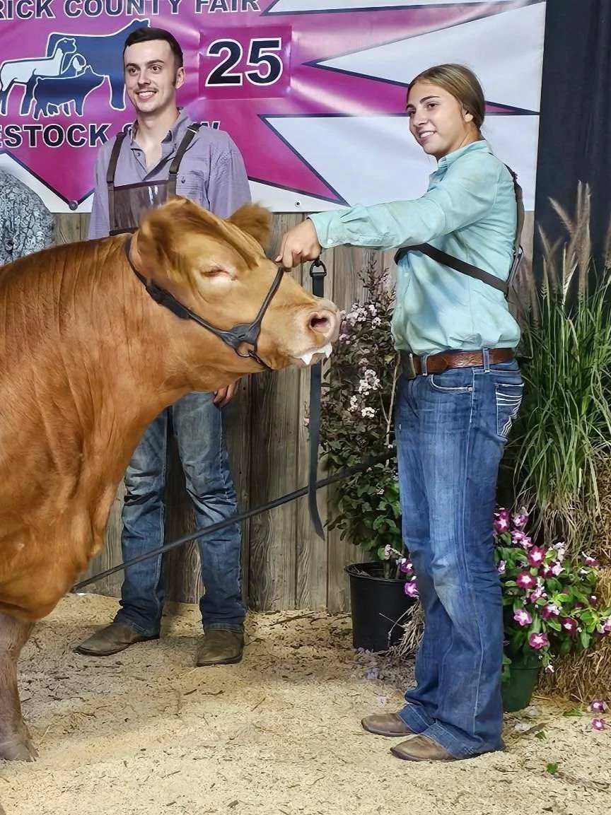 Purina High Octane Supplements for Show Cattle