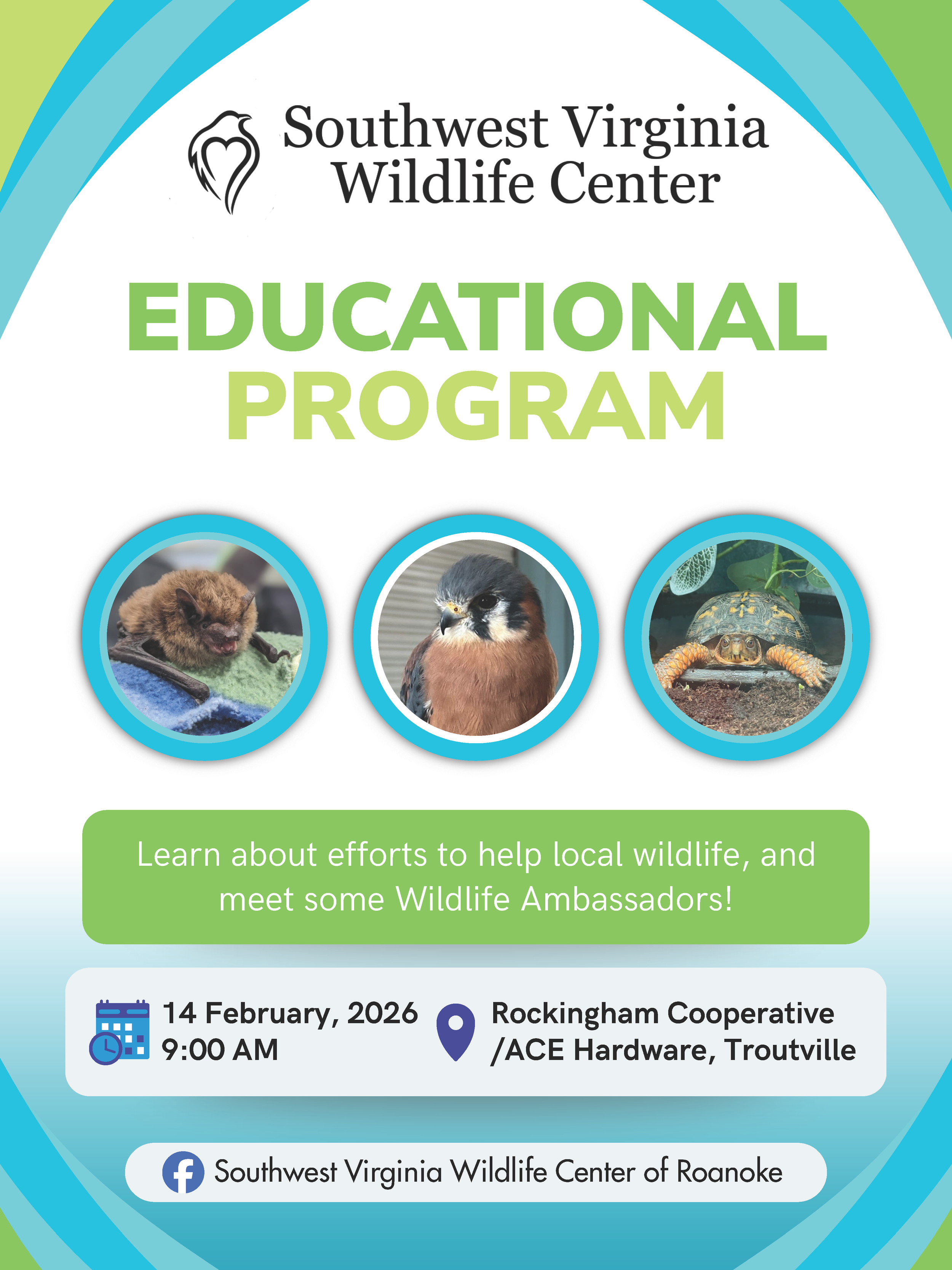 Wildlife In Your Backyard