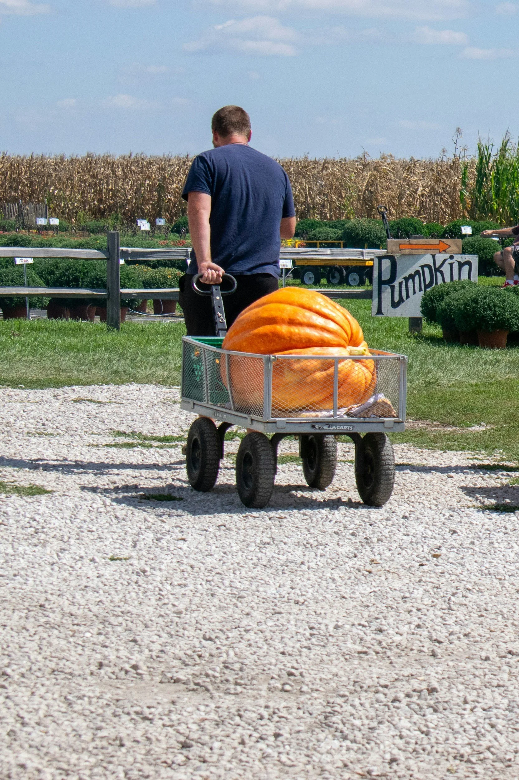 Giant Pumpkin Growing Class