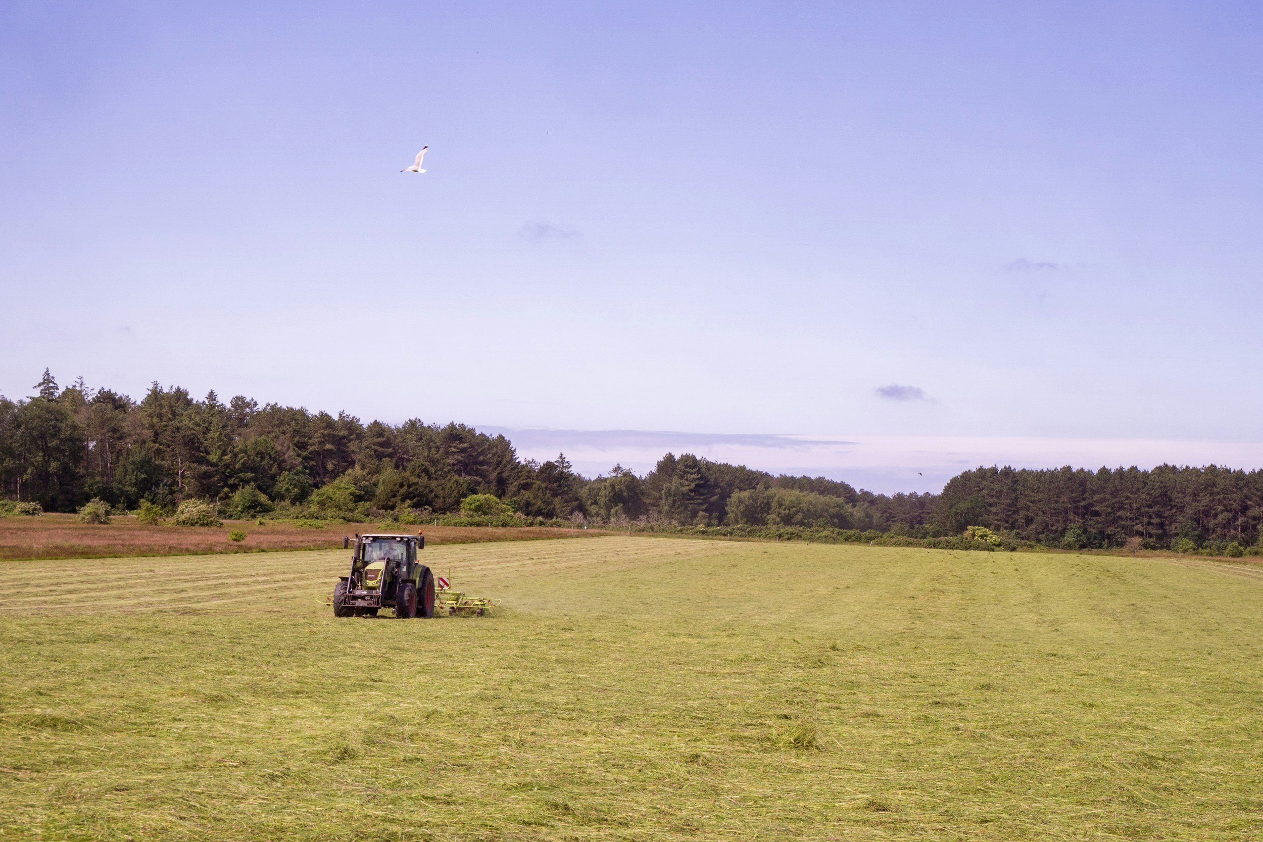 March 2026 Agronomy Division Update