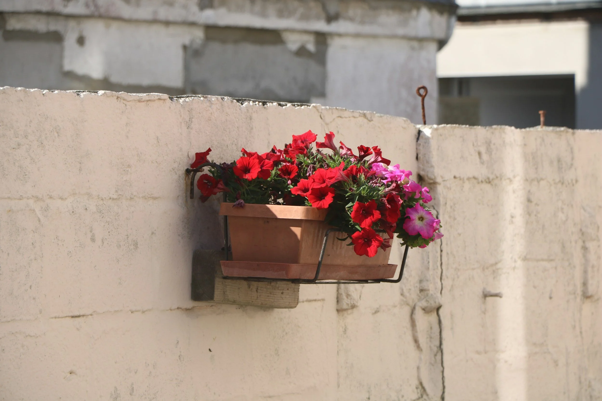 Spring Planter Workshop