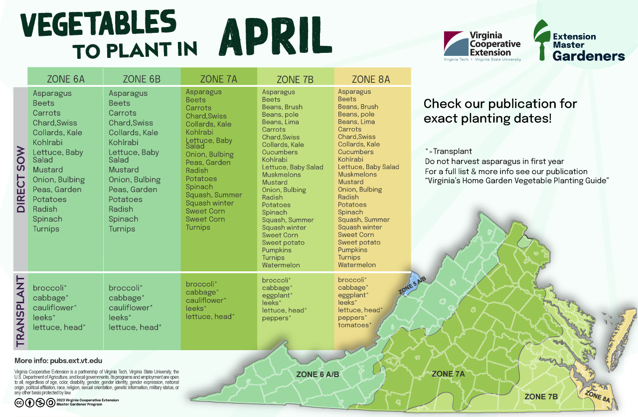 April Vegetable Gardening in Virginia (Zones 6A &amp; 6B)
