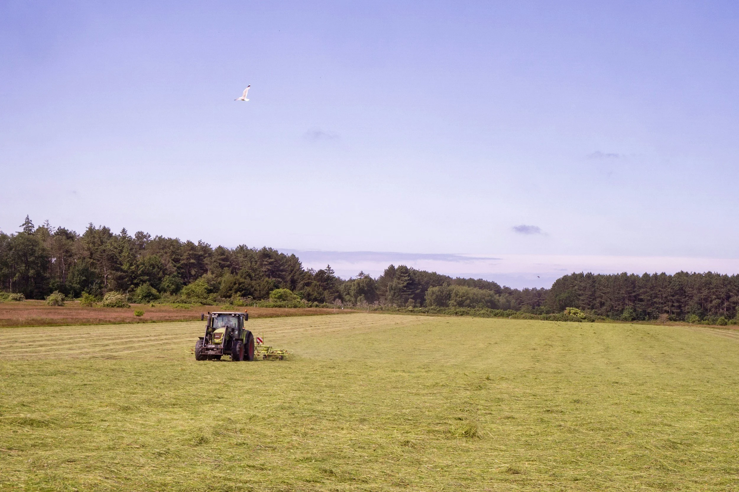 Agronomy Division Update - May 2026