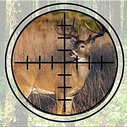 Kick Off Fall Hunting Sale