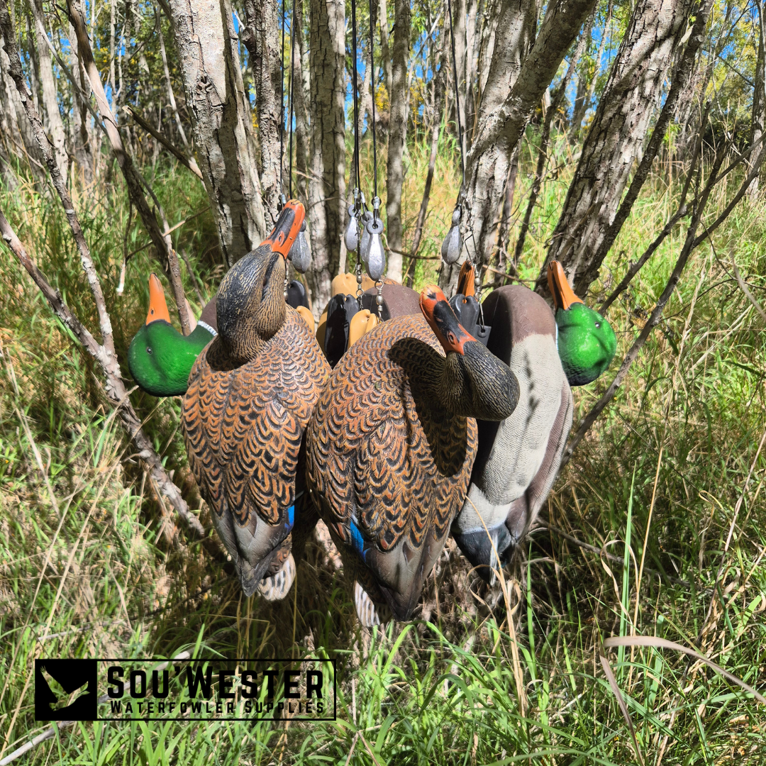 Sou'Wester SS Texas Rigs