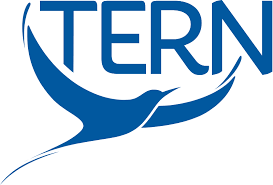 tern logo.png