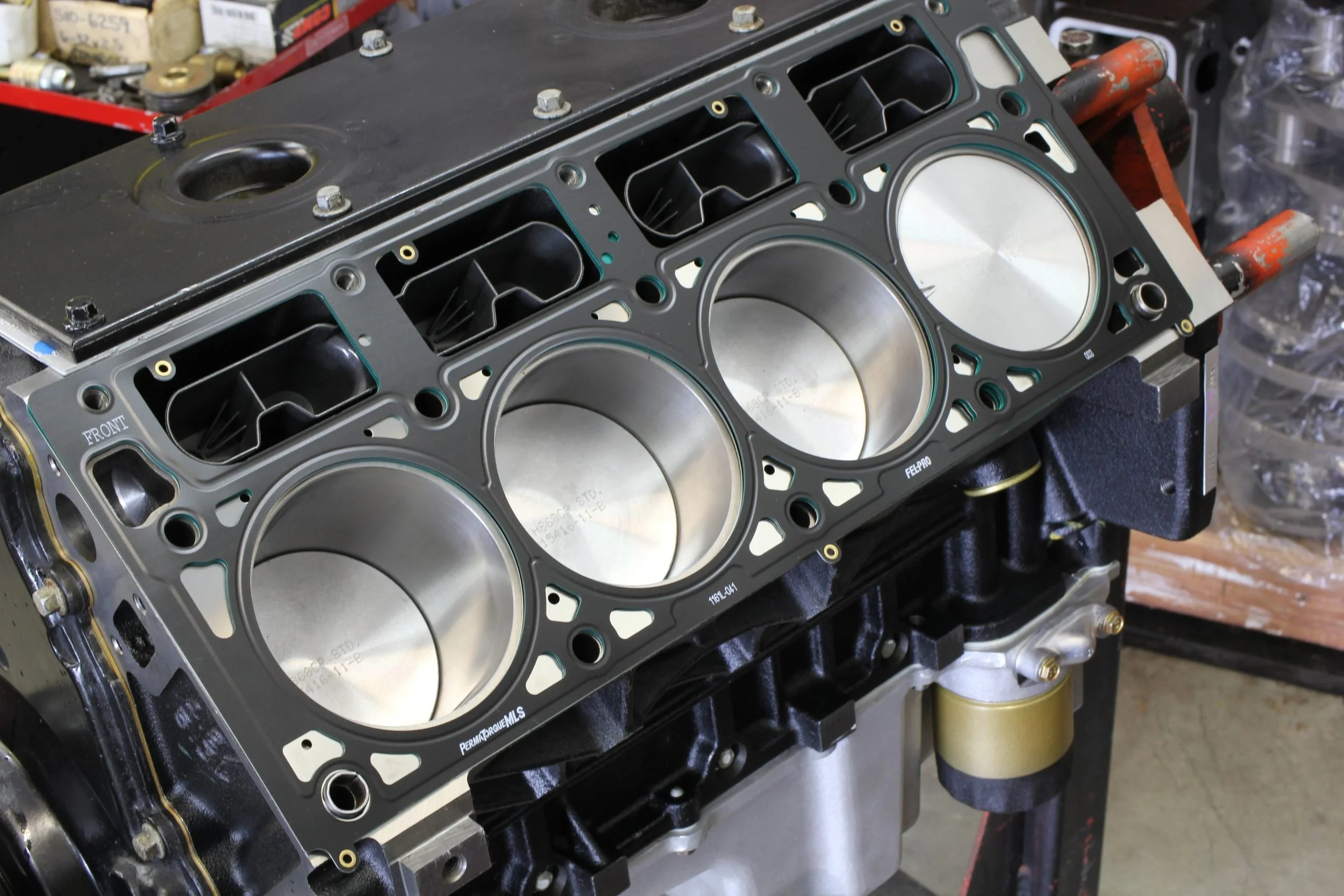 LS3.jpg