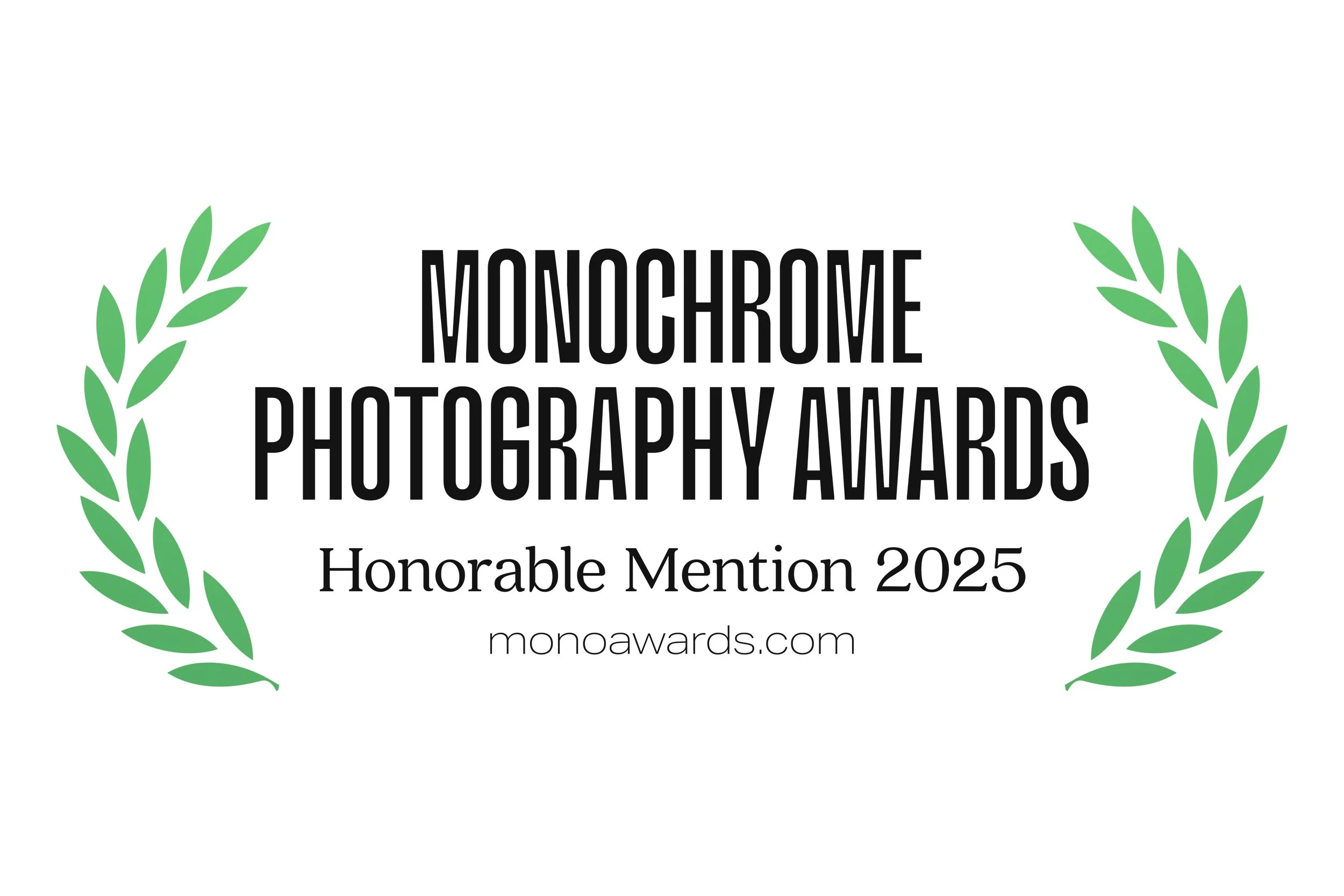 2025 Monochrome Awards Hon Men.jpg