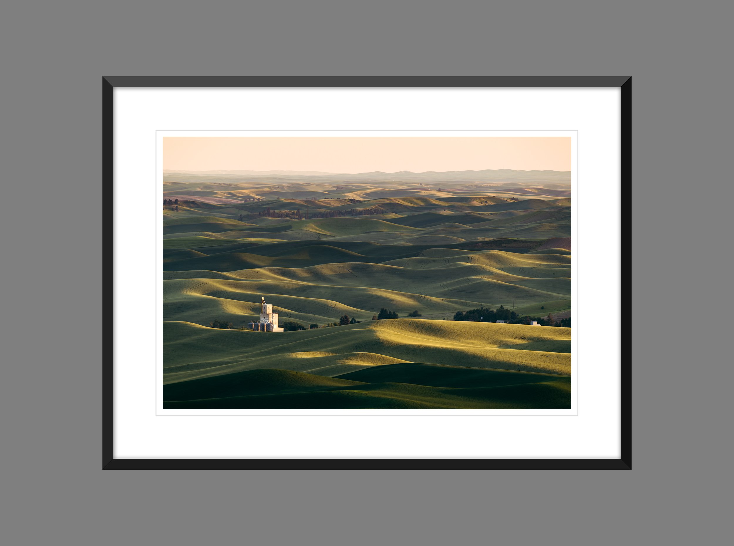 20240612_Washington_Palouse_110_DxO_frame.jpg