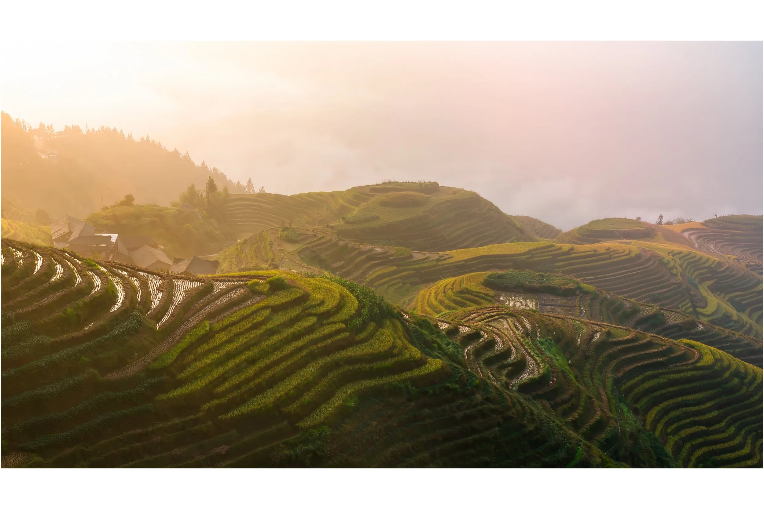 Morning Glow, Longsheng Rice Terraces, China