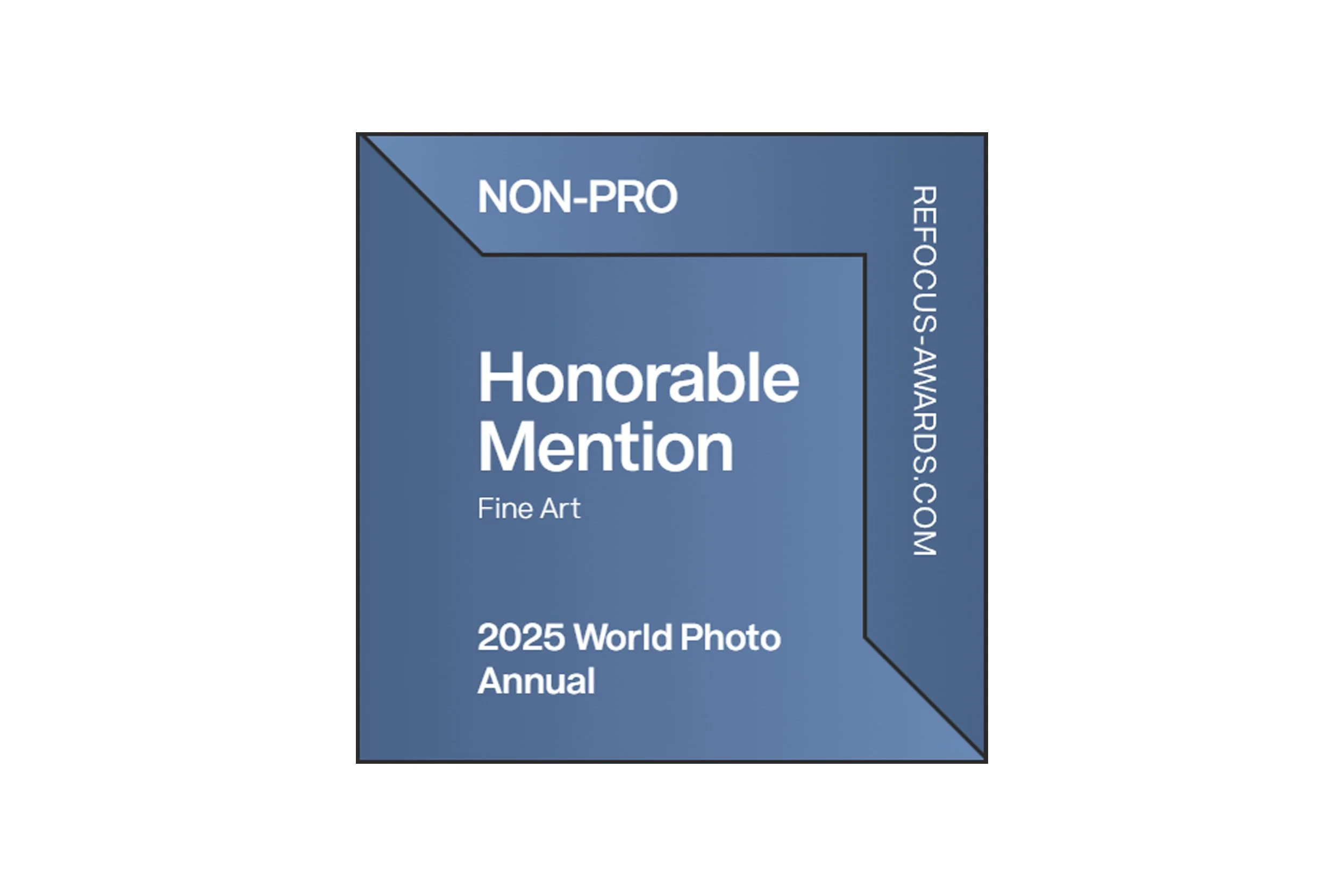 2025 reFocus World Photo Annual Awards - Fine Art.jpg