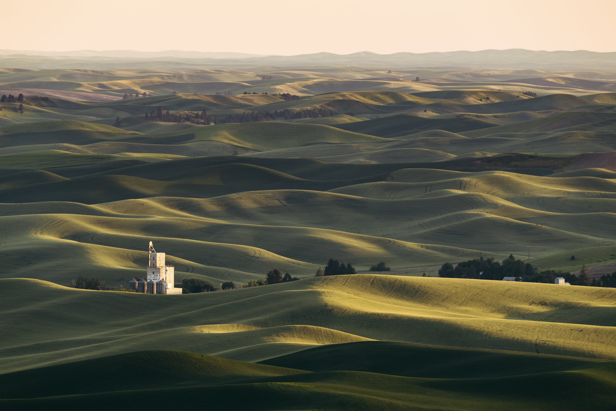 20240612_Washington_Palouse_110.jpg
