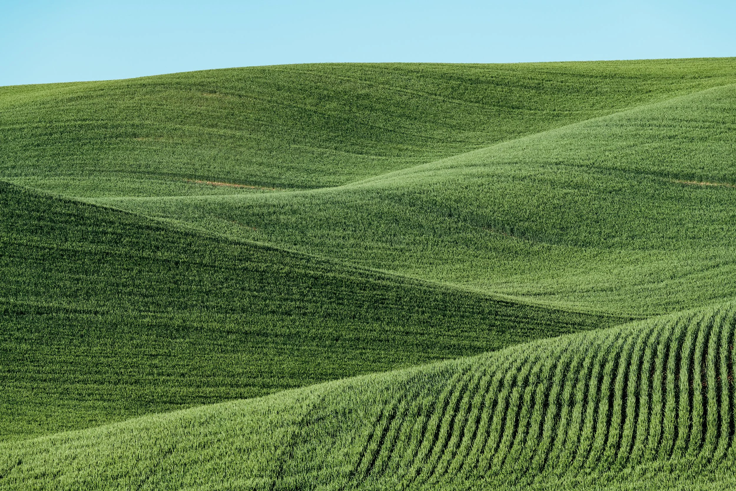 20240613_Washington_Palouse_227.jpg