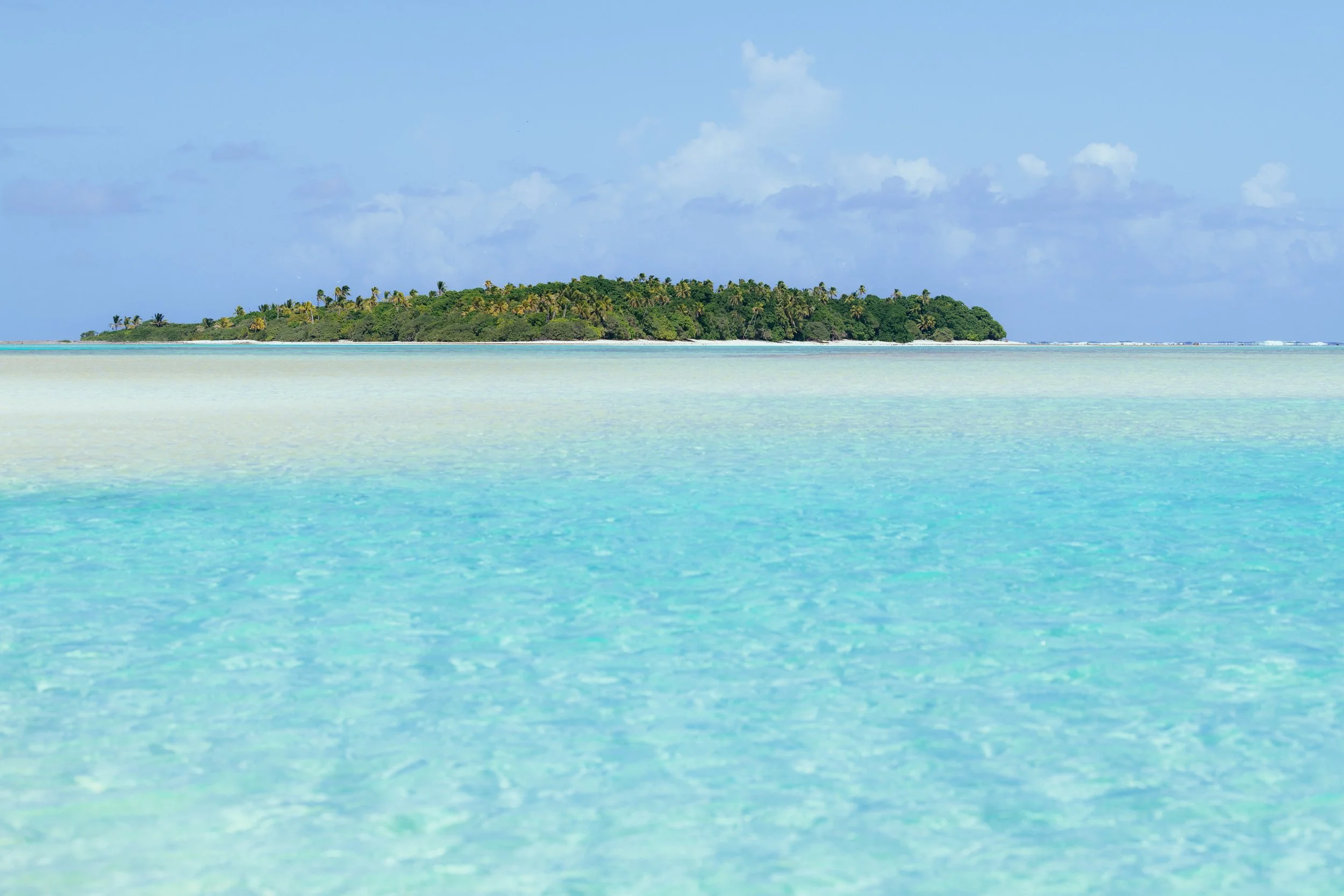 20250410_Polynesia_CookIslands_Aitutaki_1116.jpg