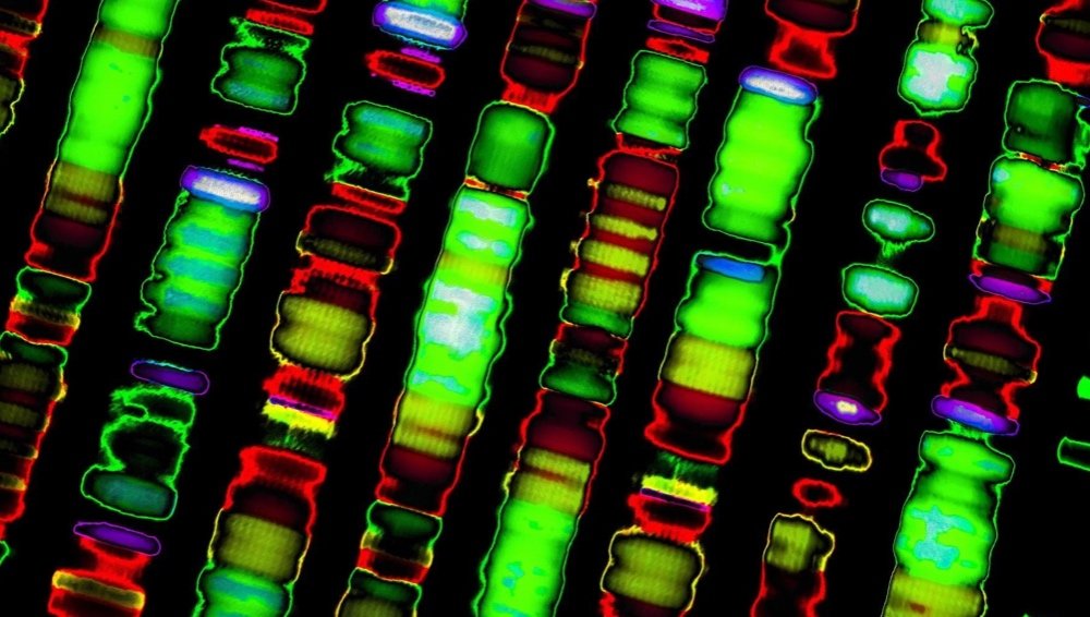 The Role of Artificial Intelligence in Genetic Sequencing