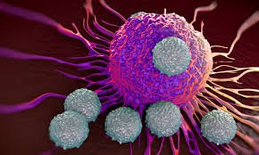 ARTIFICIAL INTELLIGENCE IN GENETICS AND GENE THERAPY FOR PREVENTION, IDENTIFICATION,MEDICATION AND ANNIHILATION OF CANCER