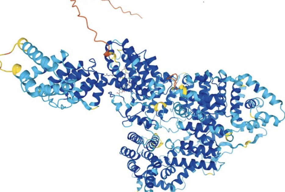 AlphaFold: Artificial Intelligence in Protein Structure Prediction