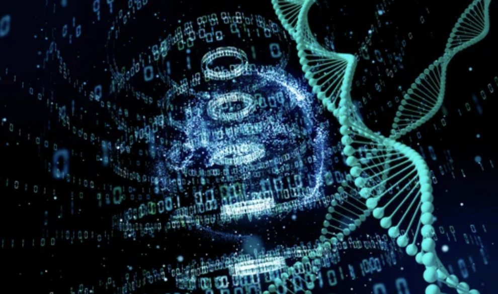 From Data to Dialogue: How AI can Shape the Future of Genetic Counseling