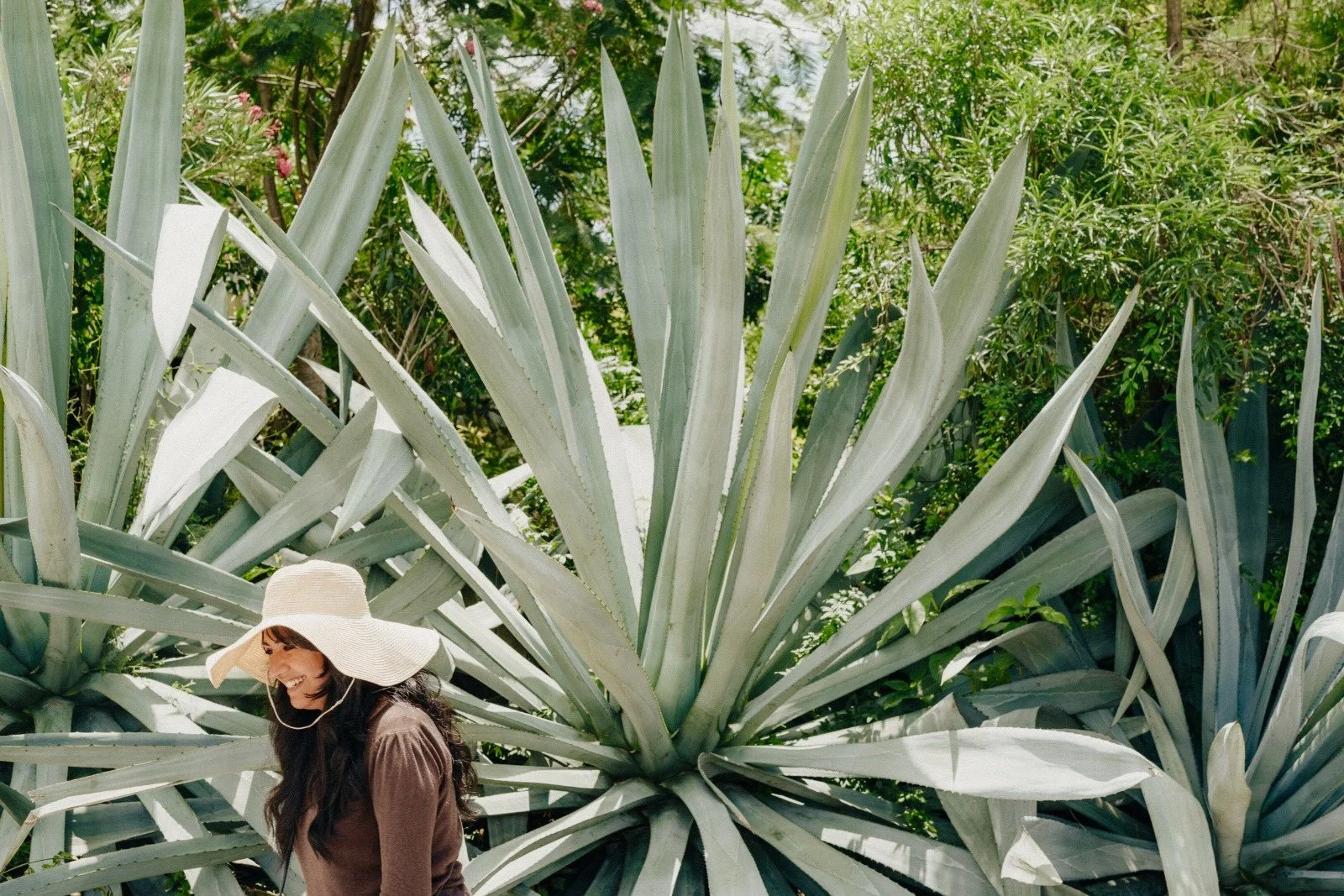 Agave, Memory, and the Stories We Carry