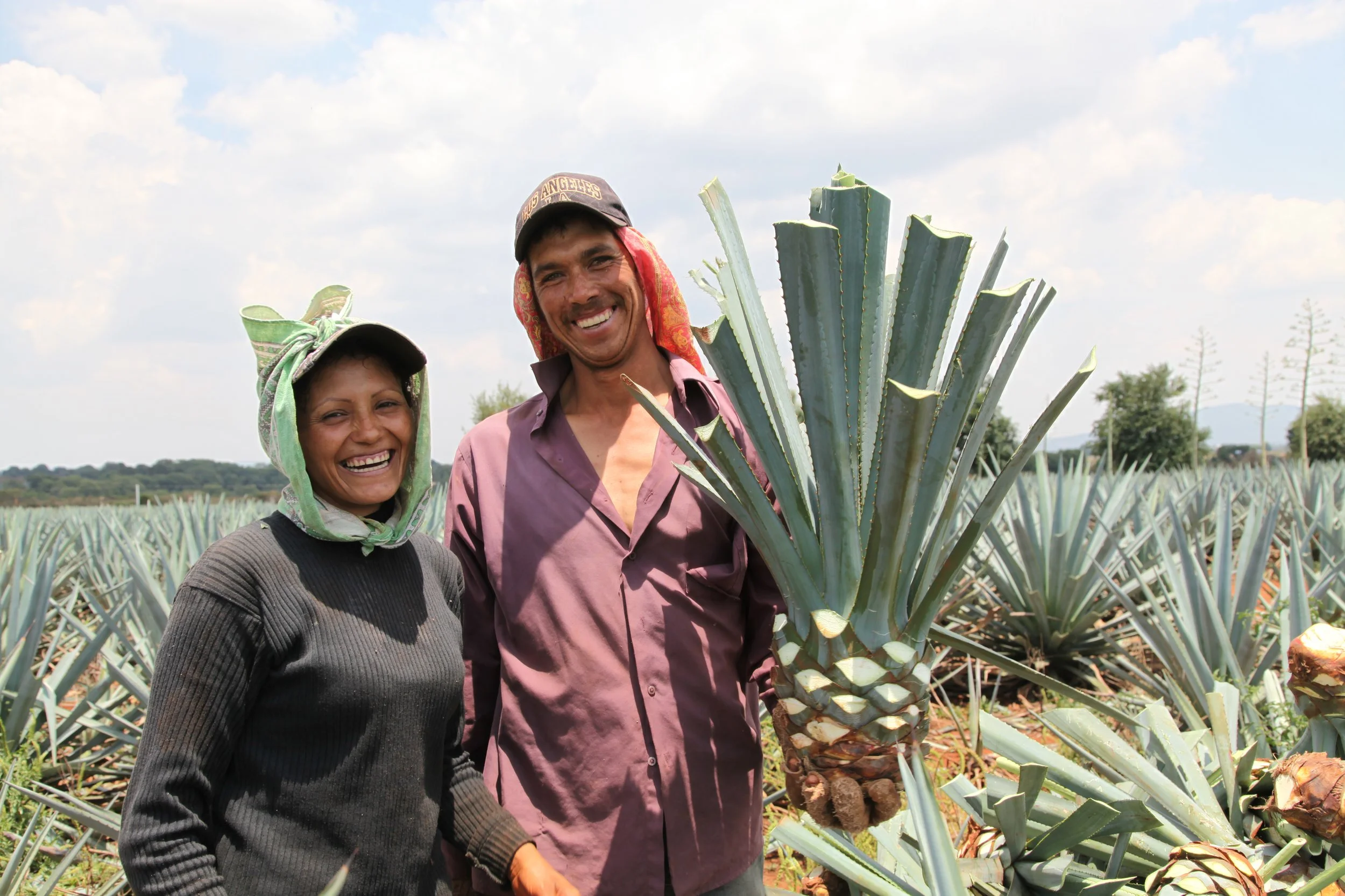 The Tequila Interchange Project