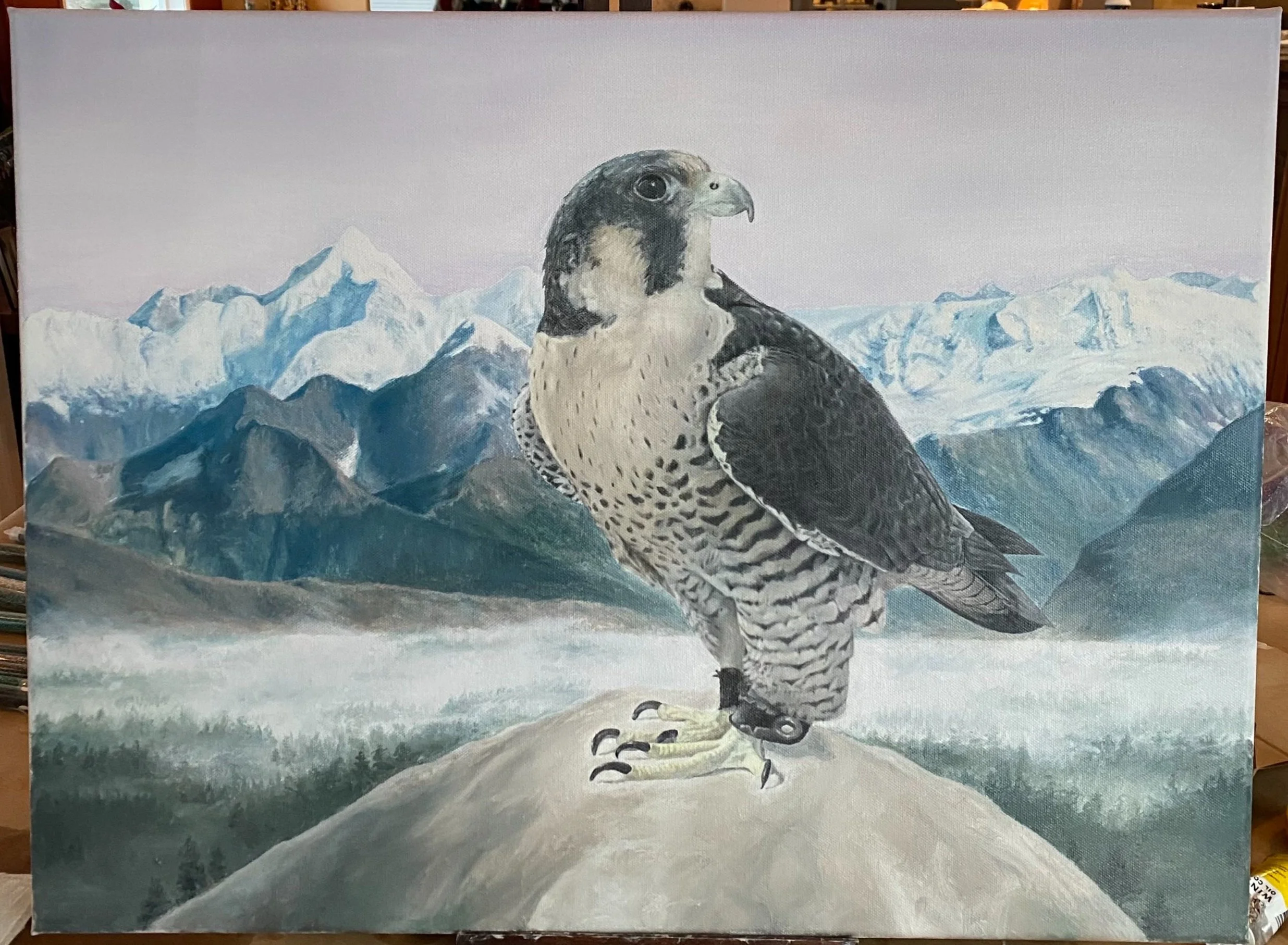 Falcon Commision.jpg