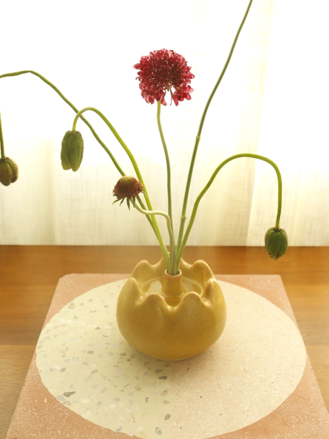 Solar Stem Vase