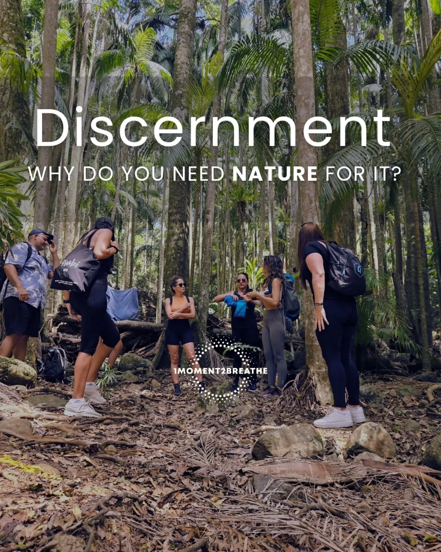 Discernment is not mental.
It&rsquo;s somatic.
we&rsquo;re constantly exposed to noise: 
&bull; urgency
&bull; performance pressure
&bull; reactive decisions
&bull; external validation loops
But your nervous system cannot access clear discernment whe