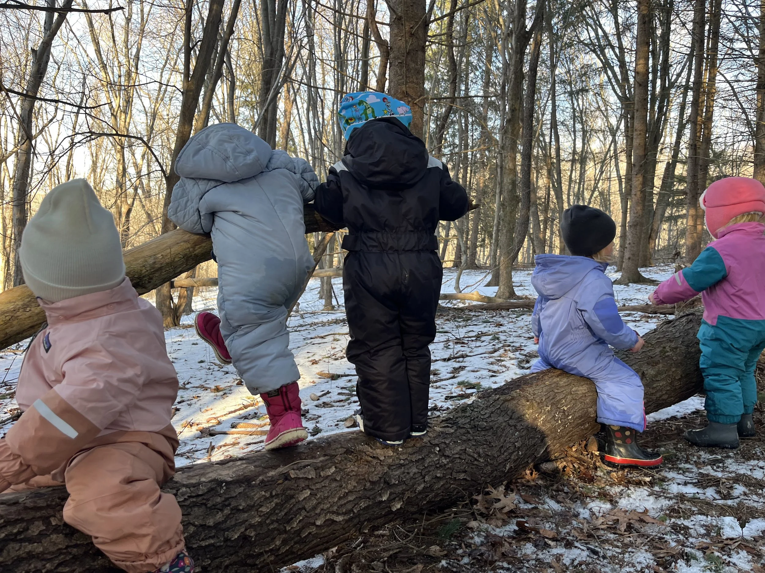 Cold Weather Essentials