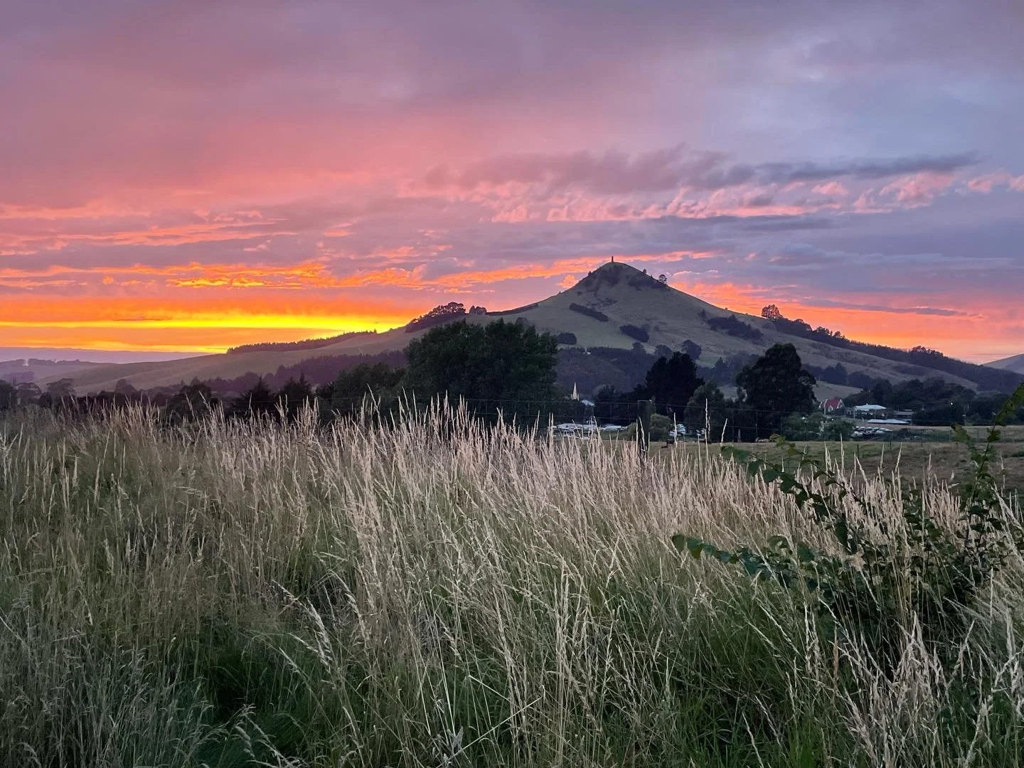 The Tortoise Diaries - A Year in the Life of a Reforming Yoyo Dieter. 