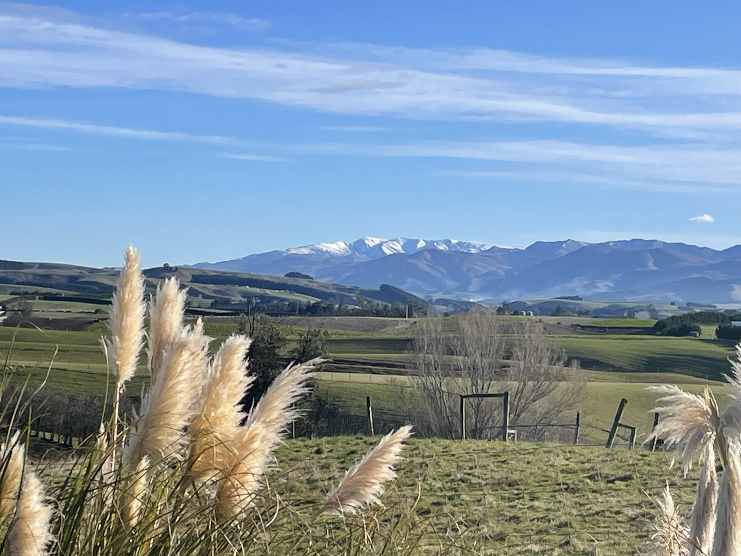 Facing the resistance…. Morning walk musings. 