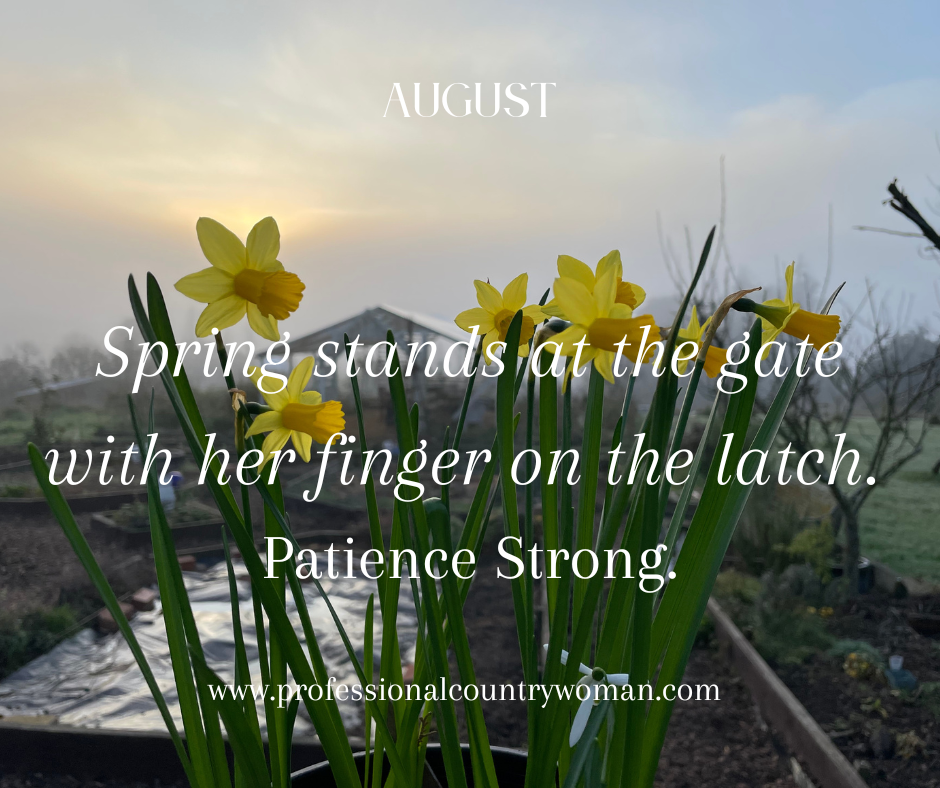 The Kitchen Gardener’s Year - Winter/August 
