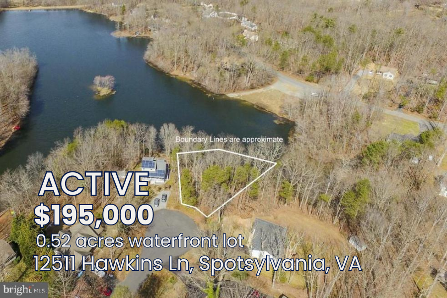 Picture For Website (29).png