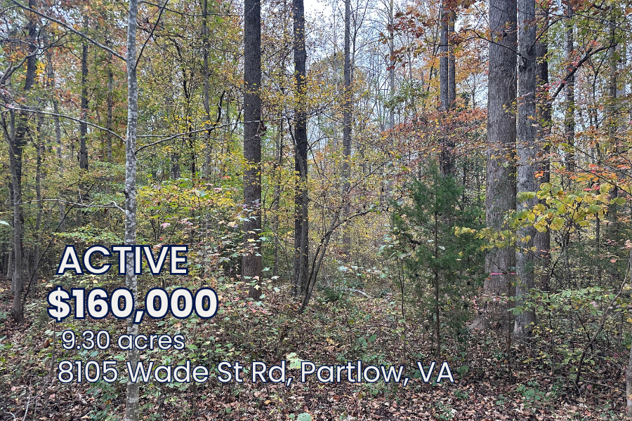 Picture For Website (41).png