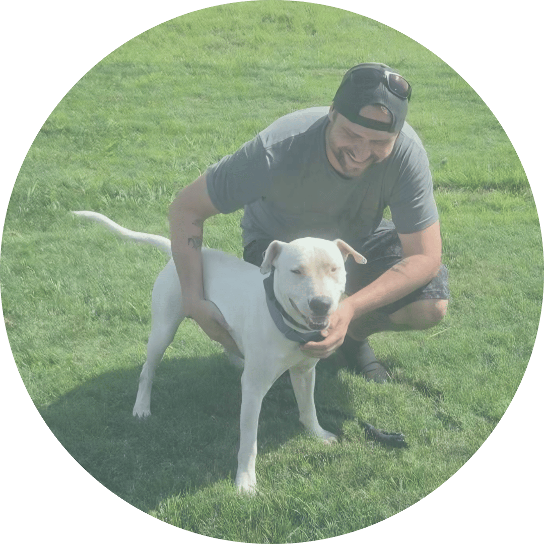 Man petting dog in field