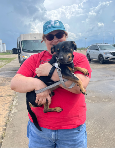 lady holding small black dog