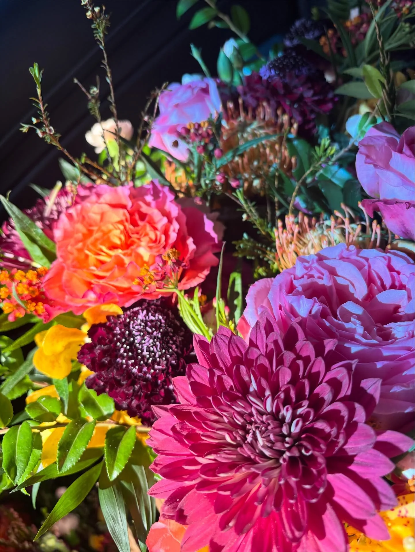 The day felt like an escape into a garden of love. Amazing how this place was transformed into a magical setting. @sandiegobotanicgarden