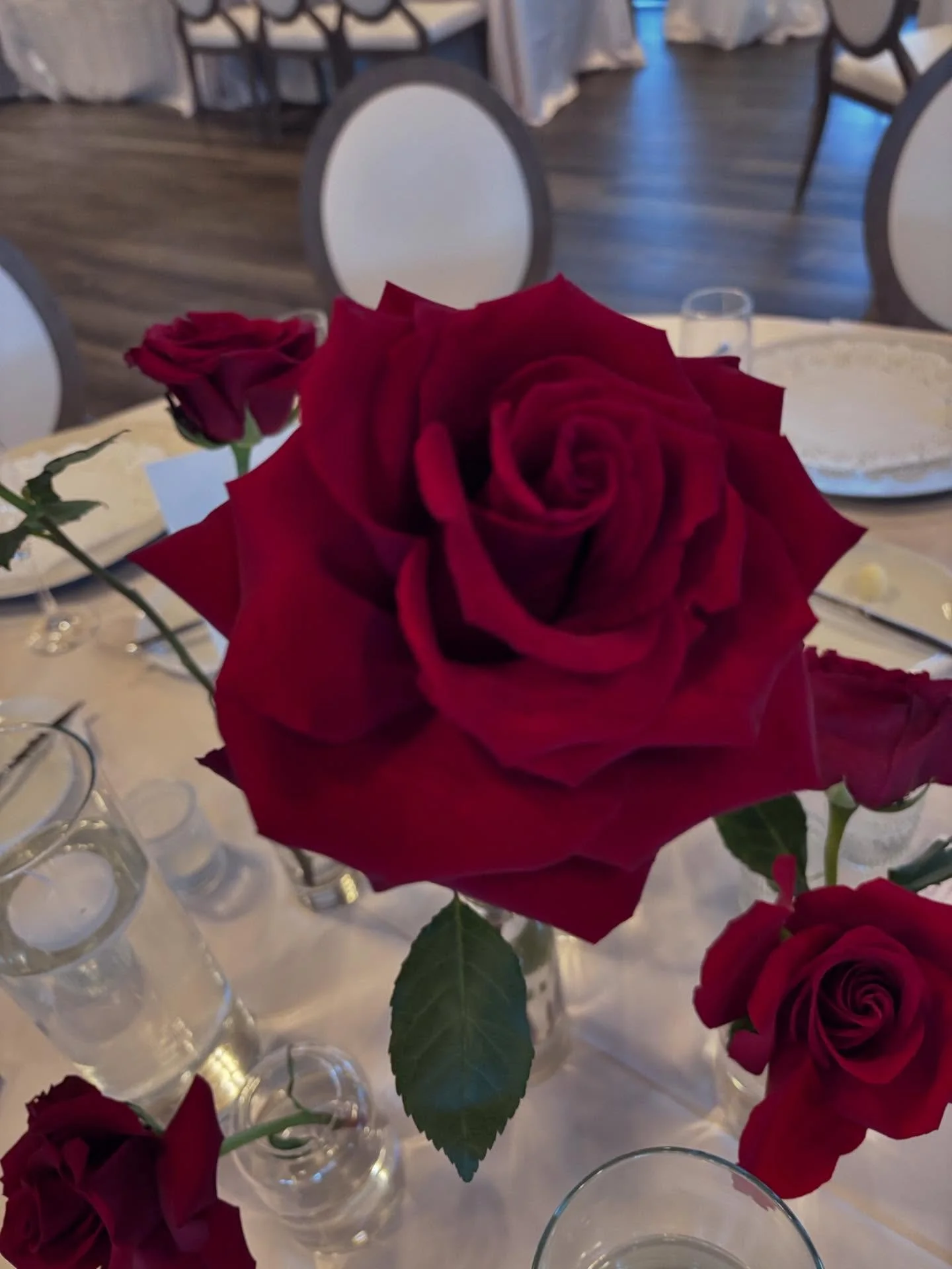 Classic red rose with lots of love.